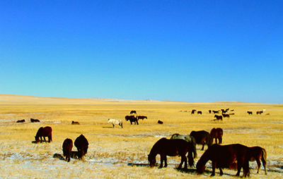 穿越文化之旅，共寻遁世古籍