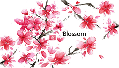 AVANZA帅映新年献词:2018, 让梦想绽放