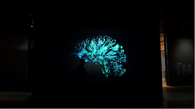 科视Christie激光投影揭示人类大脑的奥秘