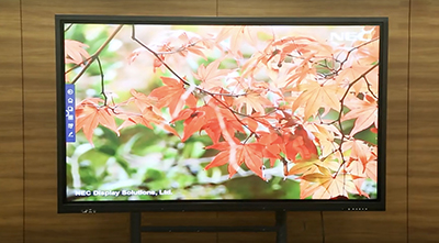 NETRIX带你玩转办公室圣诞趴！