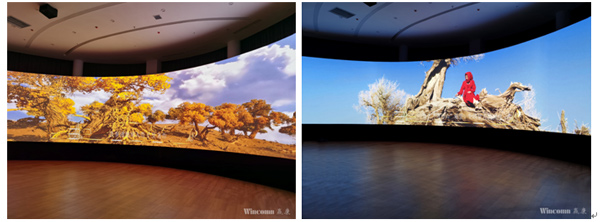 哈密伊吾胡杨林景区顺利开业,赢康工作人员获感谢信