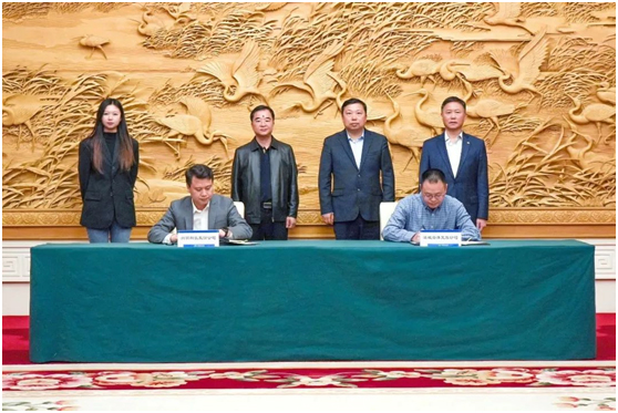 天津生态城管委会、滨城文旅与洲明共推文旅产业高质量发展